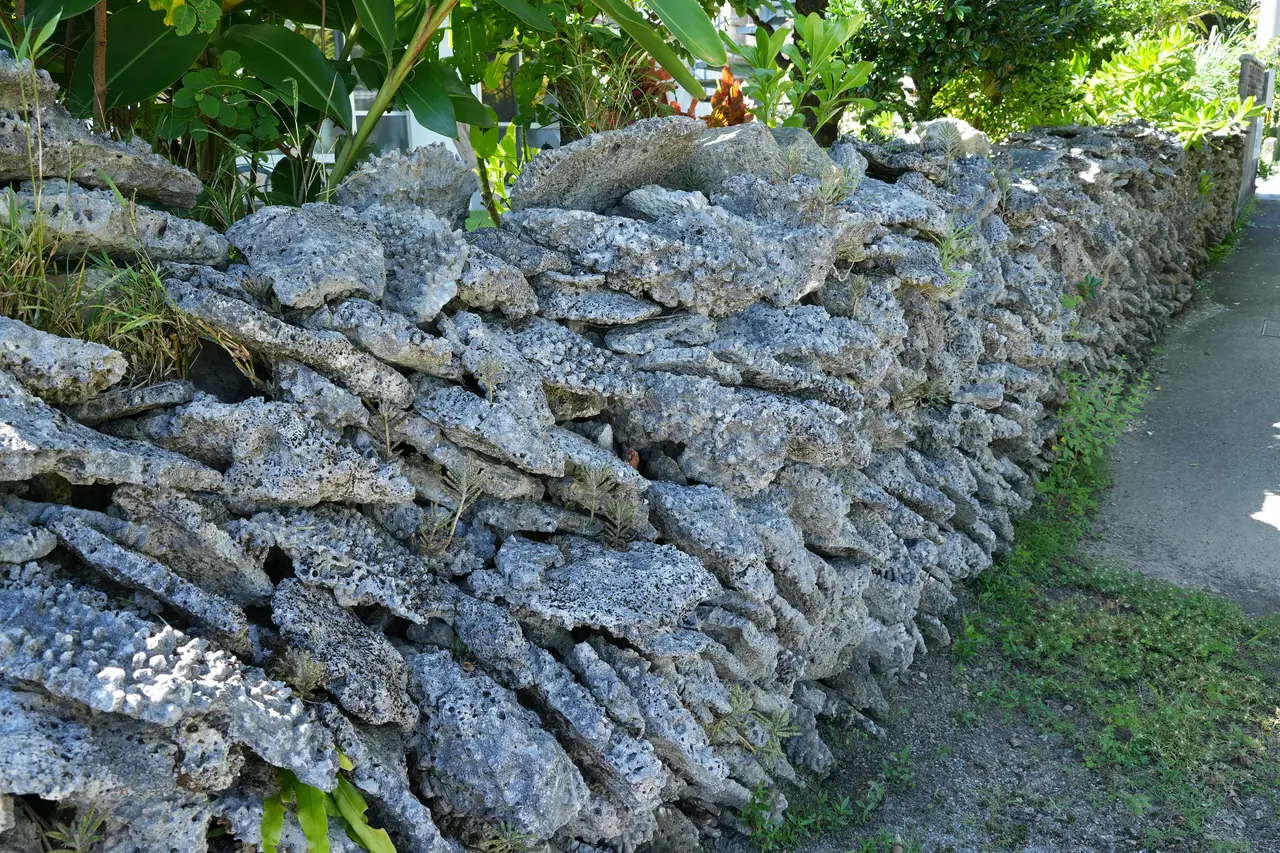 An old coral-stone wall along a village lane