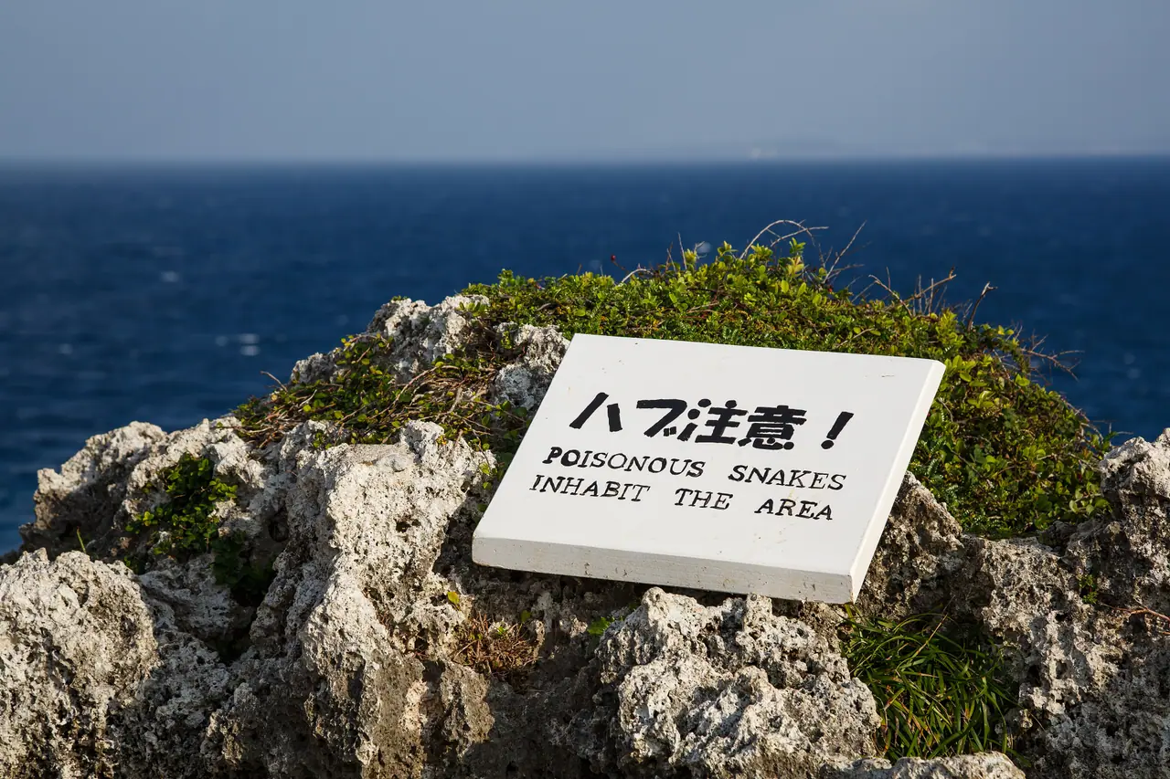 A sign on a coral cliff warning of poisonous habu snakes